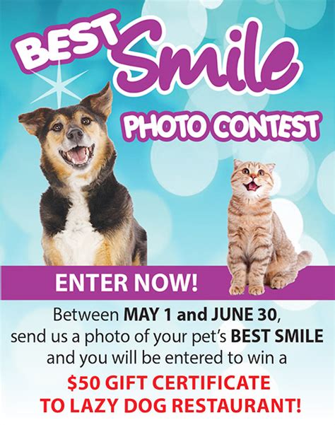 Pet Photo Contest