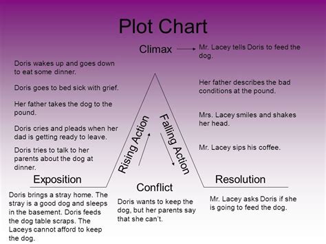 What's the conflict, rising action, climax, falling action, and resolution of Stray? - brainly.com