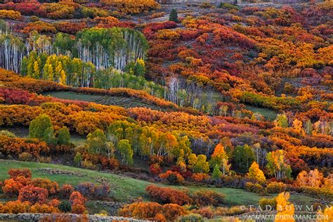 2013 Colorado Fall Colors Trip | Tad Bowman