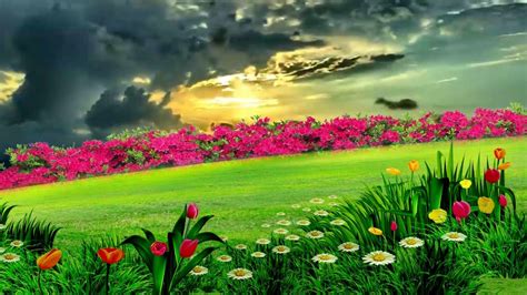 Flower Garden Garden Background Hd Images For Photoshop : If you're looking for the best flower ...