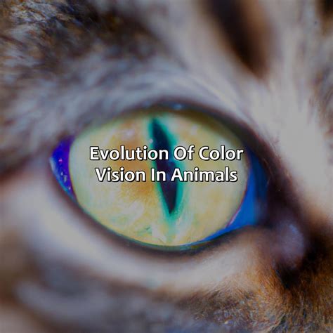 What Animals See In Color - colorscombo.com