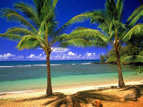 Hawaii Beach Scenes Wallpapers - Top Free Hawaii Beach Scenes Backgrounds - WallpaperAccess