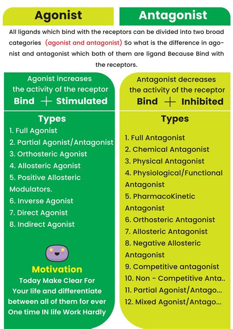 SOLUTION: part 2 agonist antagonist with their types - Studypool