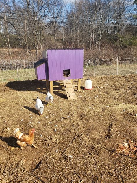 Chicken Coop – Green Journal Homestead