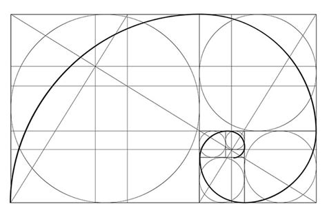 Understanding the Golden Ratio in Design and Photography