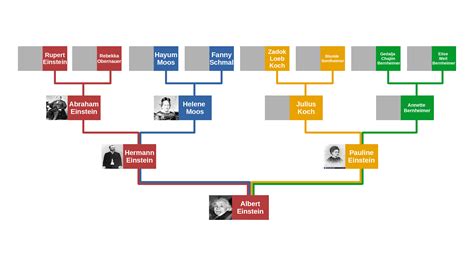 Albert Einstein family : r/UsefulCharts