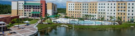 Campus Life Archives - FGCU 360