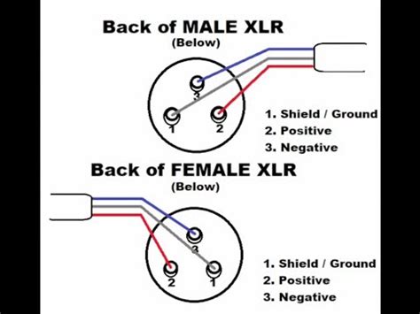 Xlr Wiring Diagram 4 Wire - https://www.gearslutz.com/board/attachments/connectors-cables-stands ...