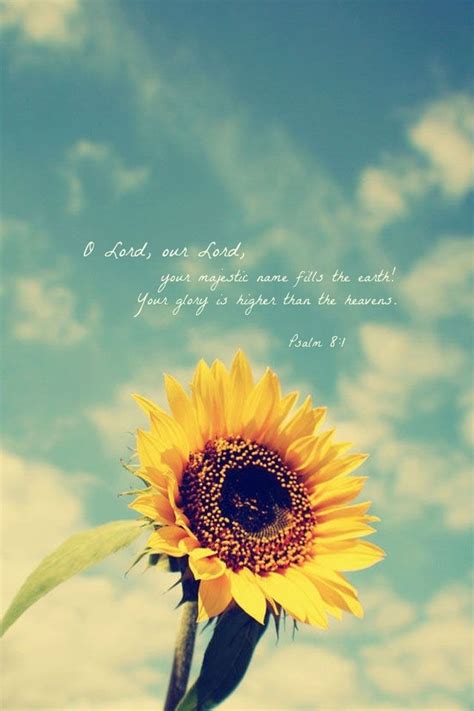 Sunflower Wallpaper With Quotes. QuotesGram