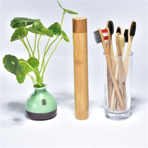 China Cheap Portable Convenient Bamboo Toothbrush Case Container Factory - Discount Price - Kyle