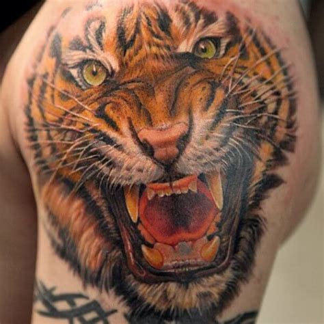 15+ Angry Tiger Tattoo Designs and Ideas | PetPress