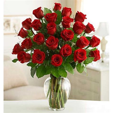 Premium Six Dozen Rose Arrangement | ubicaciondepersonas.cdmx.gob.mx