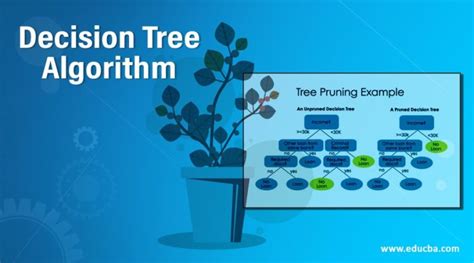 Decision Tree Algorithm | Explanation and Role of Entropy in Decision Tree