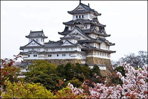 La bellezza del castello di Himeji, antica fortezza giapponese difesa da un complesso dedalo di ...