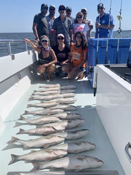 Chesapeake Bay Fishing Seasons | Charter Boats