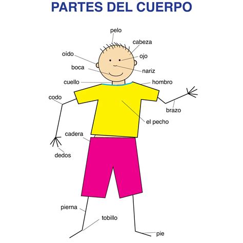 Spanish Body Parts Educational Laminated Chart