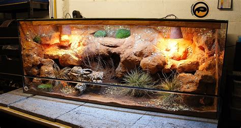 Diy Bearded Dragon Terrarium / 30 DIY Bearded Dragon Terrarium Ideas That Are Absolutely ...