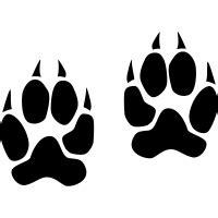 Tiger Footprint Icons - Download Free Vector Icons | Noun Project