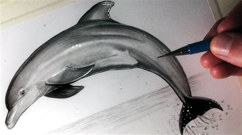 Drawing Pictures Of Dolphins at GetDrawings | Free download