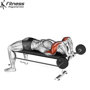 EZ Bar Lying Close Grip Triceps Extension Behind Head » Workout Planner