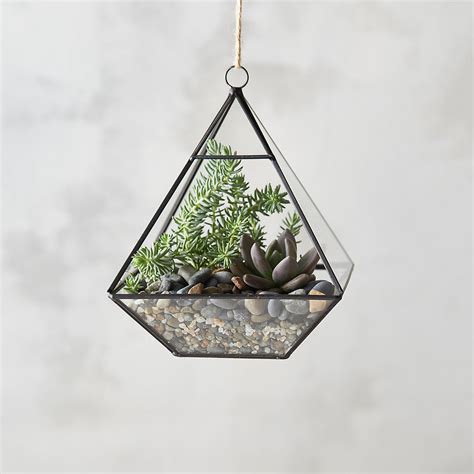 Hanging Terrarium - Easy-Care Air Plant or Moss Terrariums