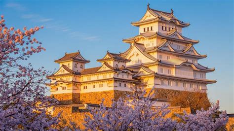 Himeji Castle Cherry Blossom Spot wallpaper - backiee