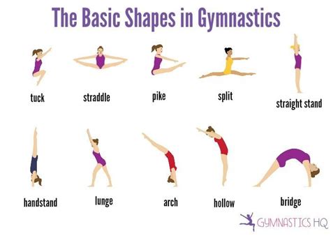 The Basic Shapes in Gymnastics | Gymnastics workout, Gymnastics lessons, Gymnastics skills