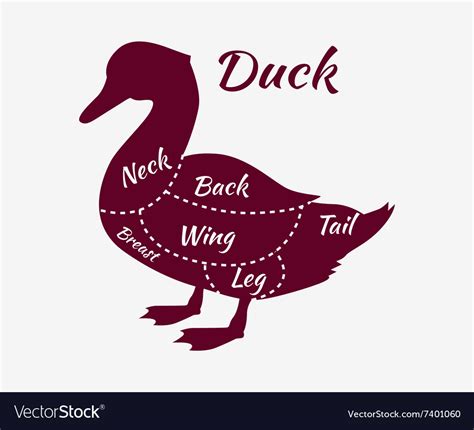 Typographic duck butcher cuts diagram Royalty Free Vector