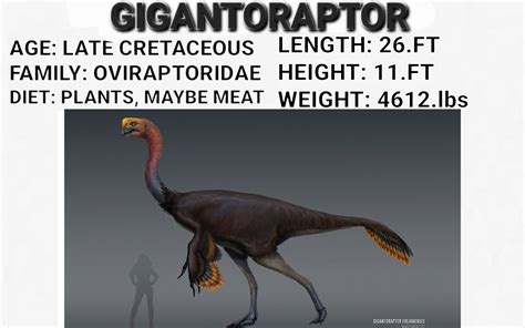 My next Wishlist set of Feathered Dinosaurs | Frontier Forums