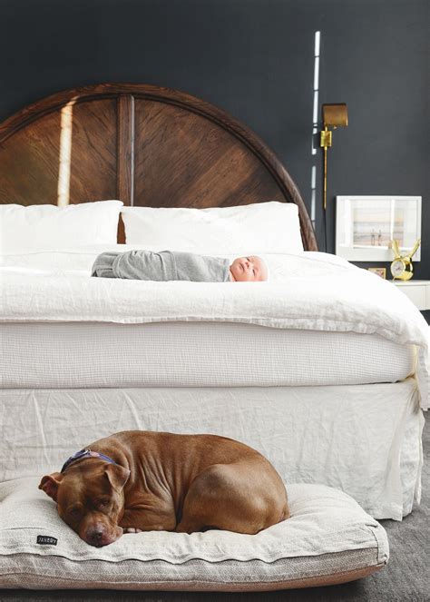 Adapting Our Pets to Baby: An Update! | White bedding, Bedroom black, Home