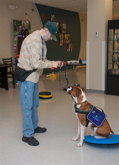 Dog Training Classes, Canandaigua, Therapy Dog Training