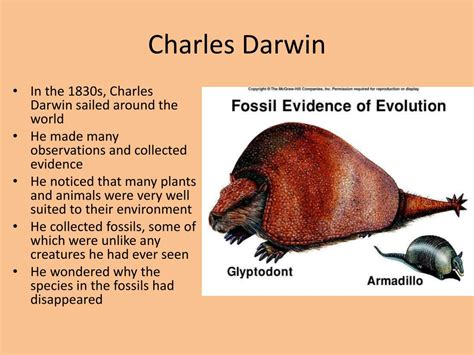 PPT - Ch 15 “Darwin’s Theory of Evolution” PowerPoint Presentation - ID:2445907