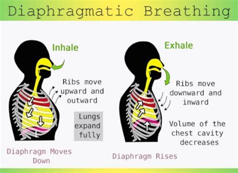 Reduce Stress with 3 Simple Breathing Exercises | Breathing Exercises | Easy Breathing