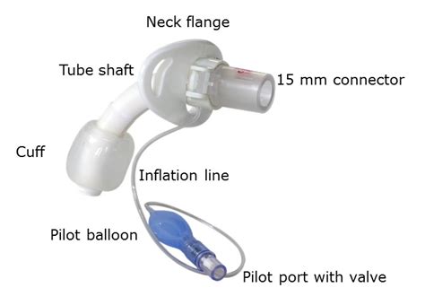 Tracheostomy Care - Passy-Muir