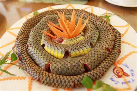 Snakes flesh | Food from Snakes