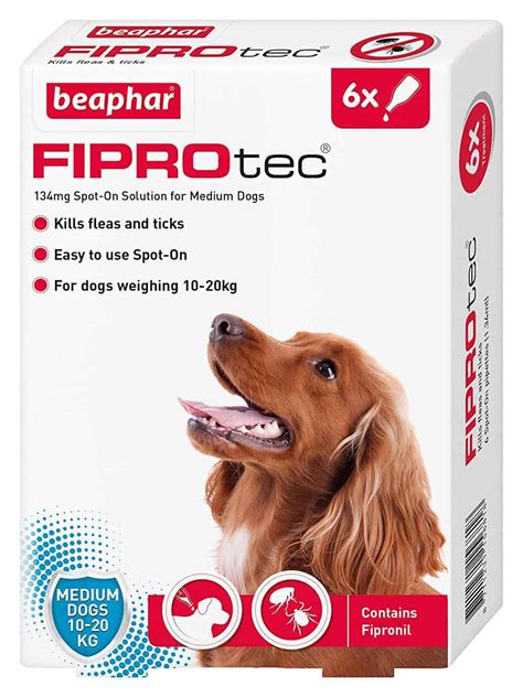 Best Dog Flea Treatment: Dog Flea Treatment Reviews (UK)