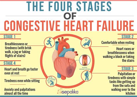 "Congestive Heart Failure" nghĩa là gì: Định Nghĩa, Ví Dụ trong Tiếng Anh