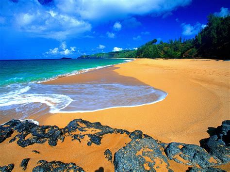 🔥 Download Beach Pictures Hawaii by @stephenshaw | Hawaii Ocean Beach Wallpapers, Ocean Beach ...