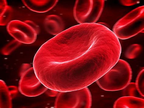 MCH Blood Test - Normal Range, Low and High MCH