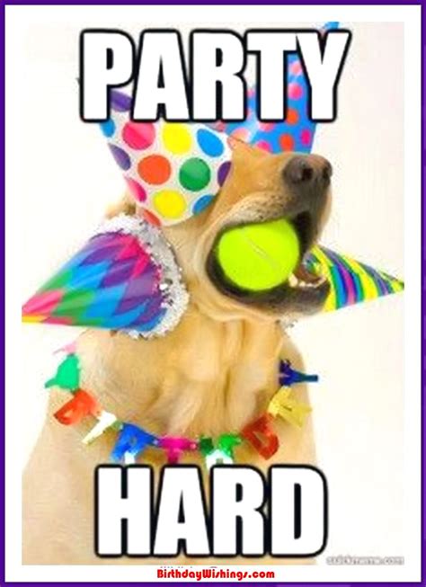 Funny Happy Birthday Memes With cats, Dogs & Funny Animals