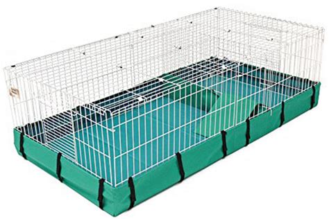 Guinea Pig Cage Size Guide - The Best Homes For Guinea Pigs