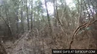 Woods GIF - Find & Share on GIPHY