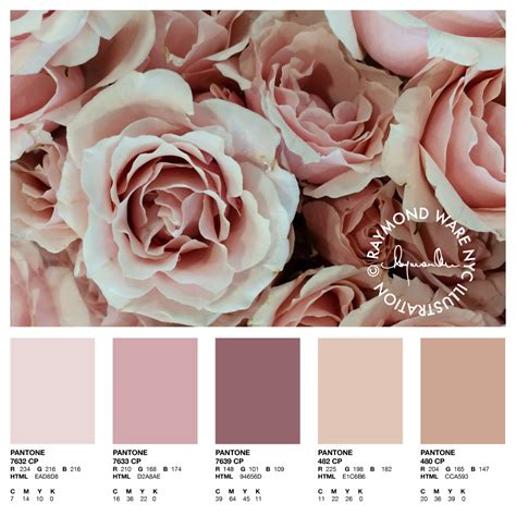 Pantone Perfection Blush Rose Palette