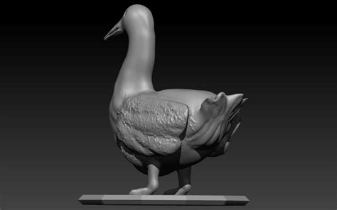 Duck Stl 3D model - TurboSquid 1774157