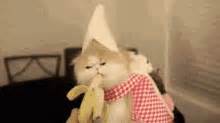 Cat Eating GIF - Cat Eating Banana - Discover & Share GIFs