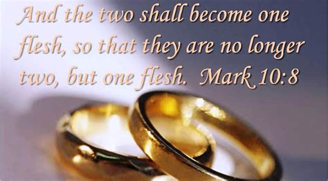 The Perfect Bible Verses For Wedding Ceremony - A Must Read