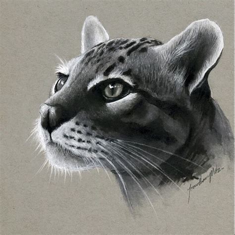 Realistic Drawings - Beautiful and Realistic Pencil Drawings - XciteFun.net