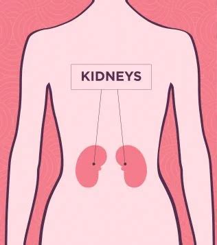 Kidney Pain Location