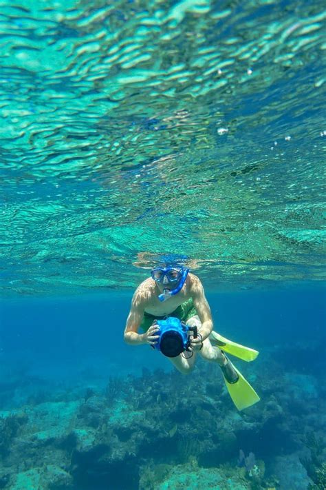 Turks and Caicos Snorkeling Safari - Local Adventurer