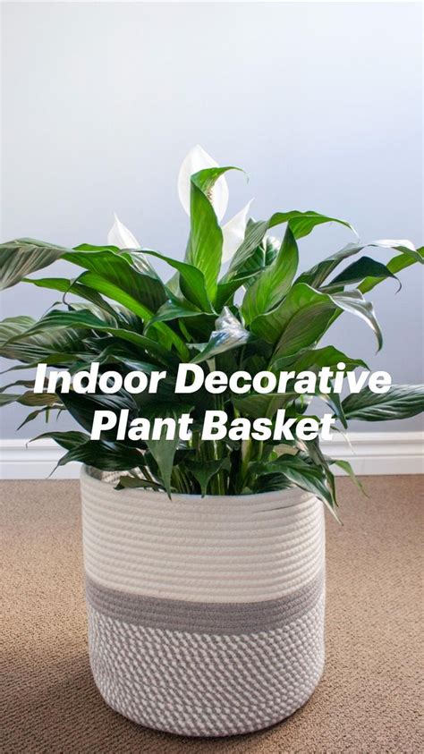 Indoor Decorative Plant Basket